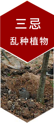 三忌非专业种植